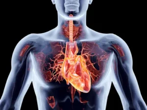 Angst vor Herzinfarkt Hypochondrie